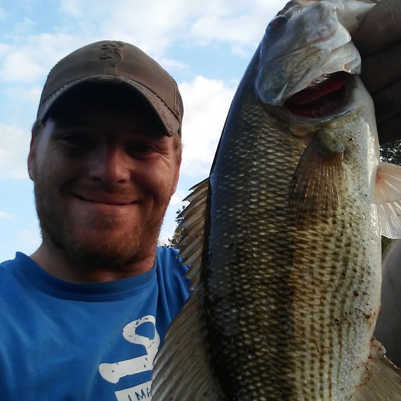 Meet your Posher, Chris - Picture 1 of 1